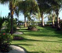 The garden of the Hotel JARDINES - Monte Cristi - Dominican Republic